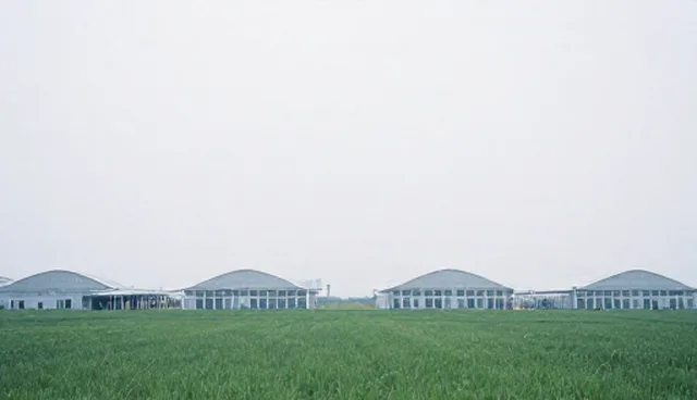 生物防治在土壤结构优化中的实践路径